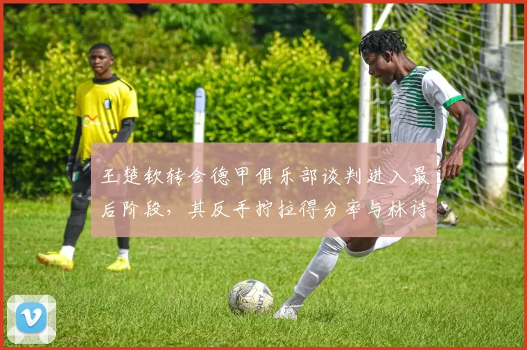 王楚钦转会德甲俱乐部谈判进入最后阶段，其反手拧拉得分率与林诗栋对比高8%
