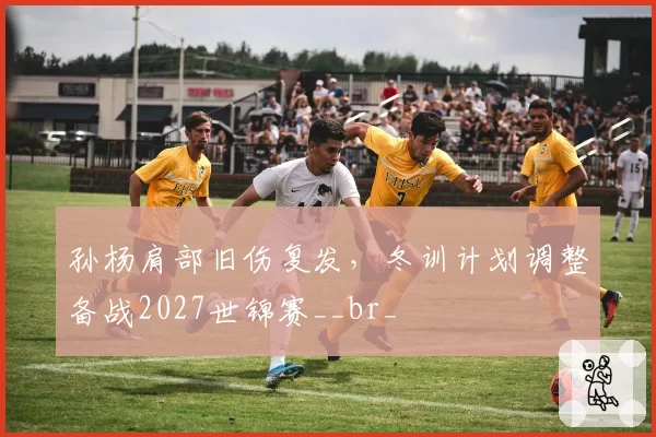 孙杨肩部旧伤复发，冬训计划调整备战2027世锦赛__br_
