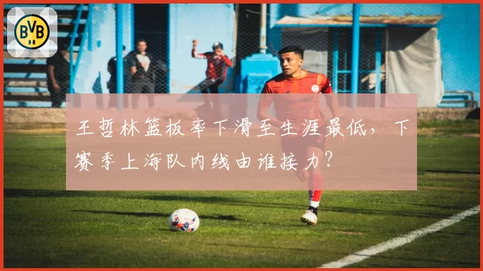 王哲林篮板率下滑至生涯最低，下赛季上海队内线由谁接力？